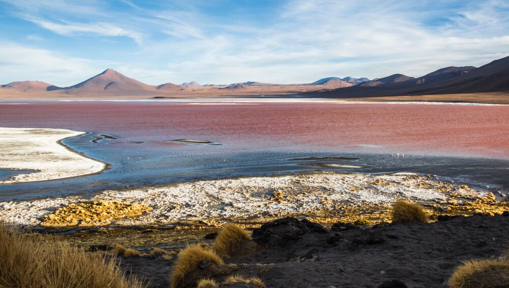 Laguna Colorada