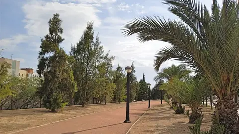 Elche. Elche.