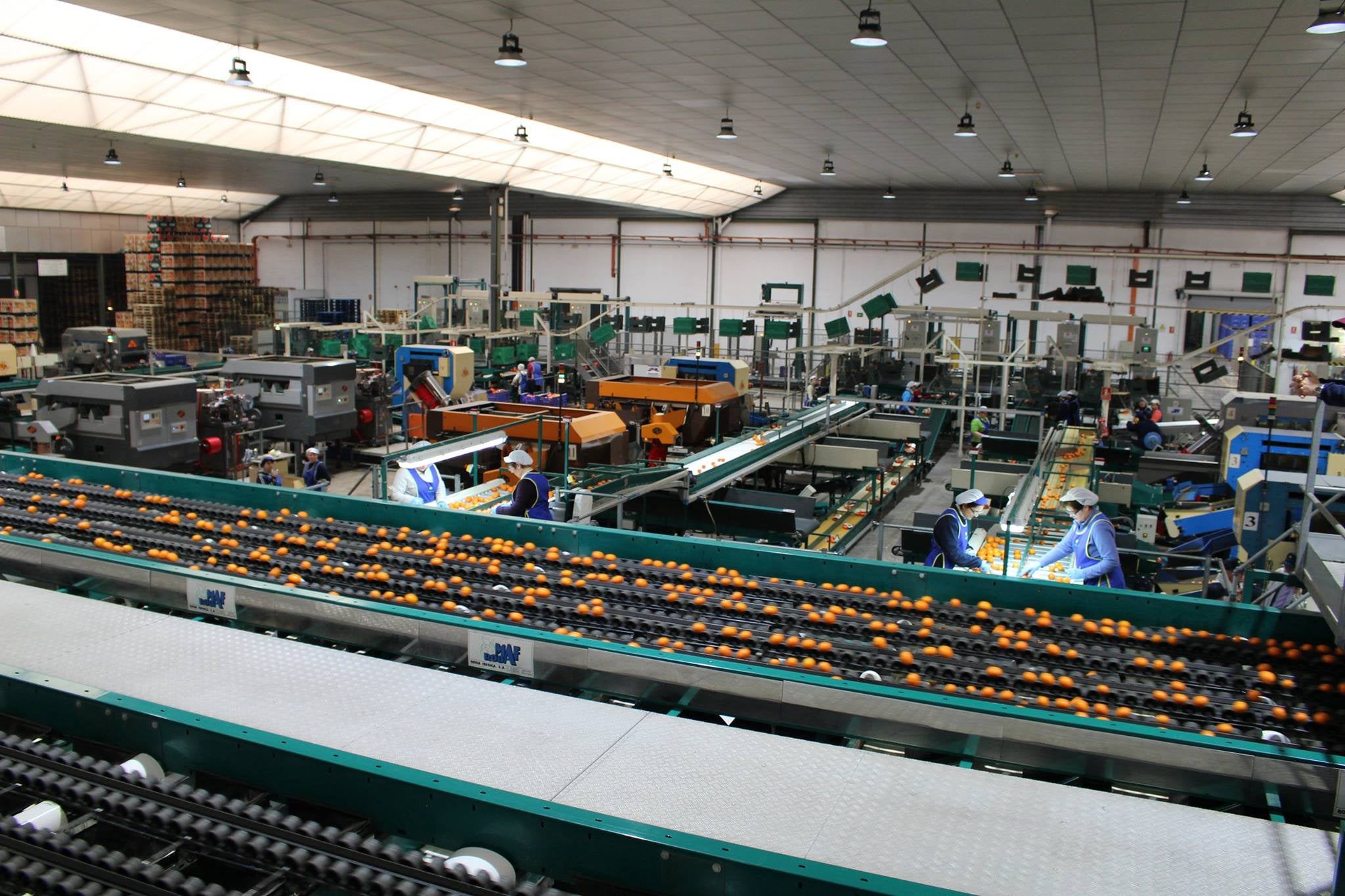 Más de Uno Bizkaia con Roberto Forcen 04/12/2023 Más de Uno Bizkaia con Roberto Forcen 04/12/2023