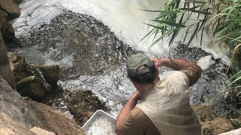 Acció Ecologista-Agró trabaja en el Río Palancia a su paso por Sagunto