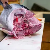 atun atun