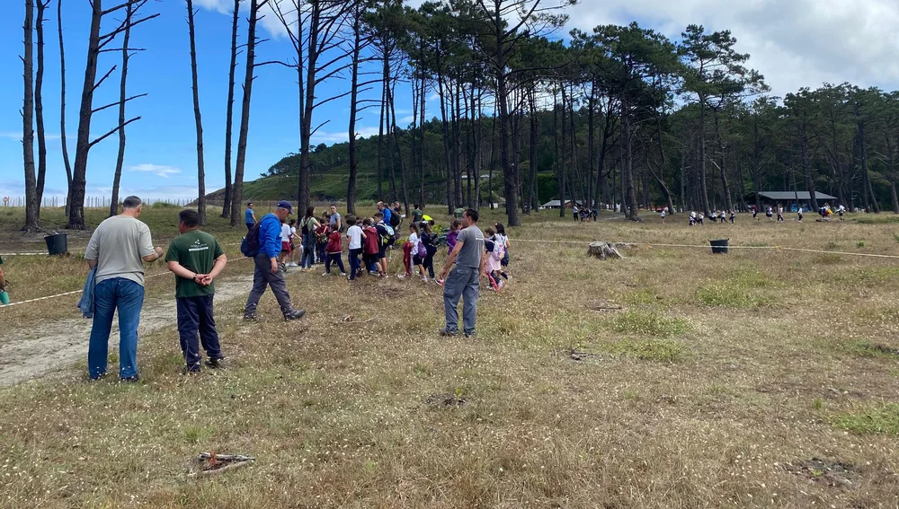 Navia reforesta la zona de la playa con un millar de laureles y madroños con alumnos del concejo. Navia reforesta la zona de la playa con un millar de laureles y madroños con alumnos del concejo.