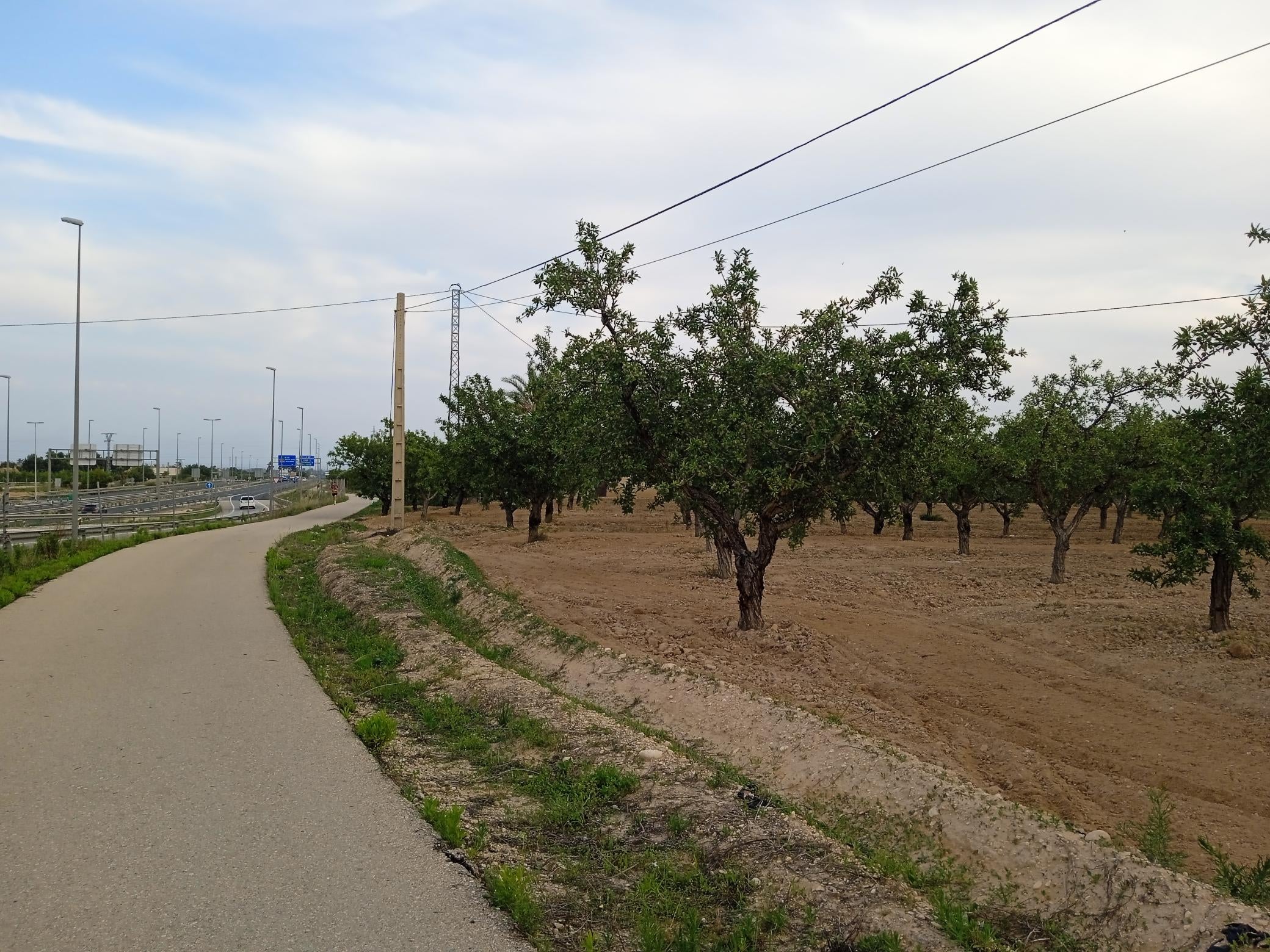 Las nubes y la lluvia se alejan de Elche, Crevillent y Santa Pola, imponiéndose el sol Las nubes y la lluvia se alejan de Elche, Crevillent y Santa Pola, imponiéndose el sol