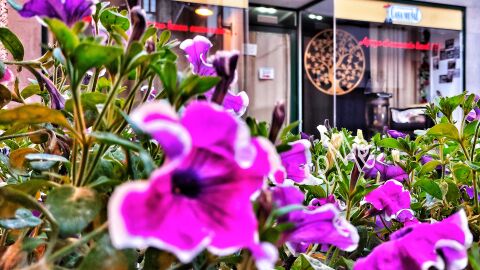 Buen jueves, con 15&ordm;C prometedores 