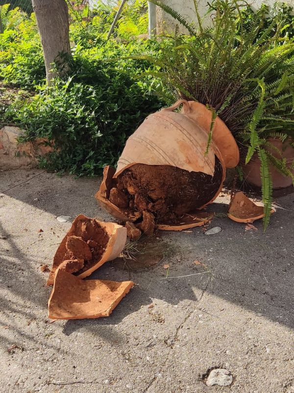 La pedanía de Mas de Flors dividida por el macro botellón subvencionado por Moró La pedanía de Mas de Flors dividida por el macro botellón subvencionado por Moró