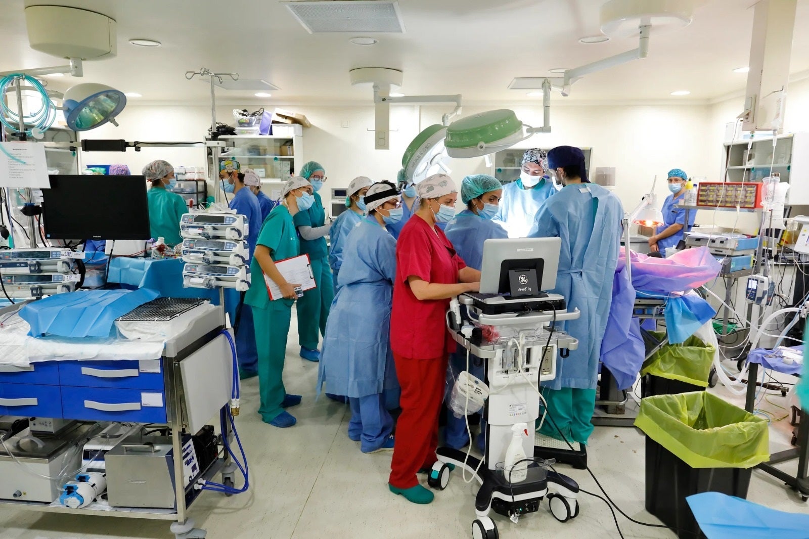 Una placenta artificial para ultraprematuros logra 12 días de supervivencia en animales Una placenta artificial para ultraprematuros logra 12 días de supervivencia en animales