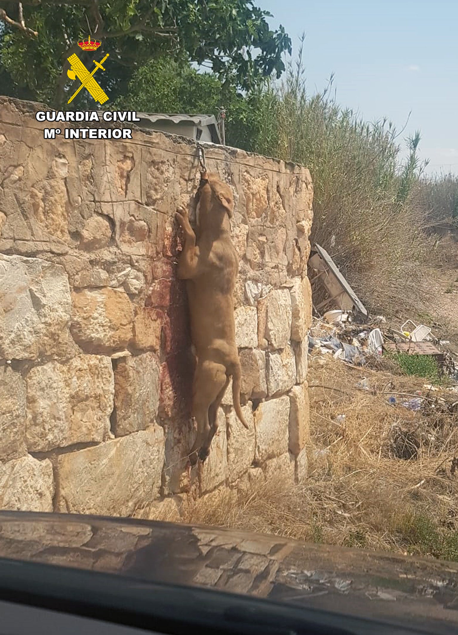 La Guardia Civil investiga a un vecino de Fuente Álamo por delitos de abandono y maltrato animal La Guardia Civil investiga a un vecino de Fuente Álamo por delitos de abandono y maltrato animal