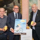 Pastel Tour de Francia 2023