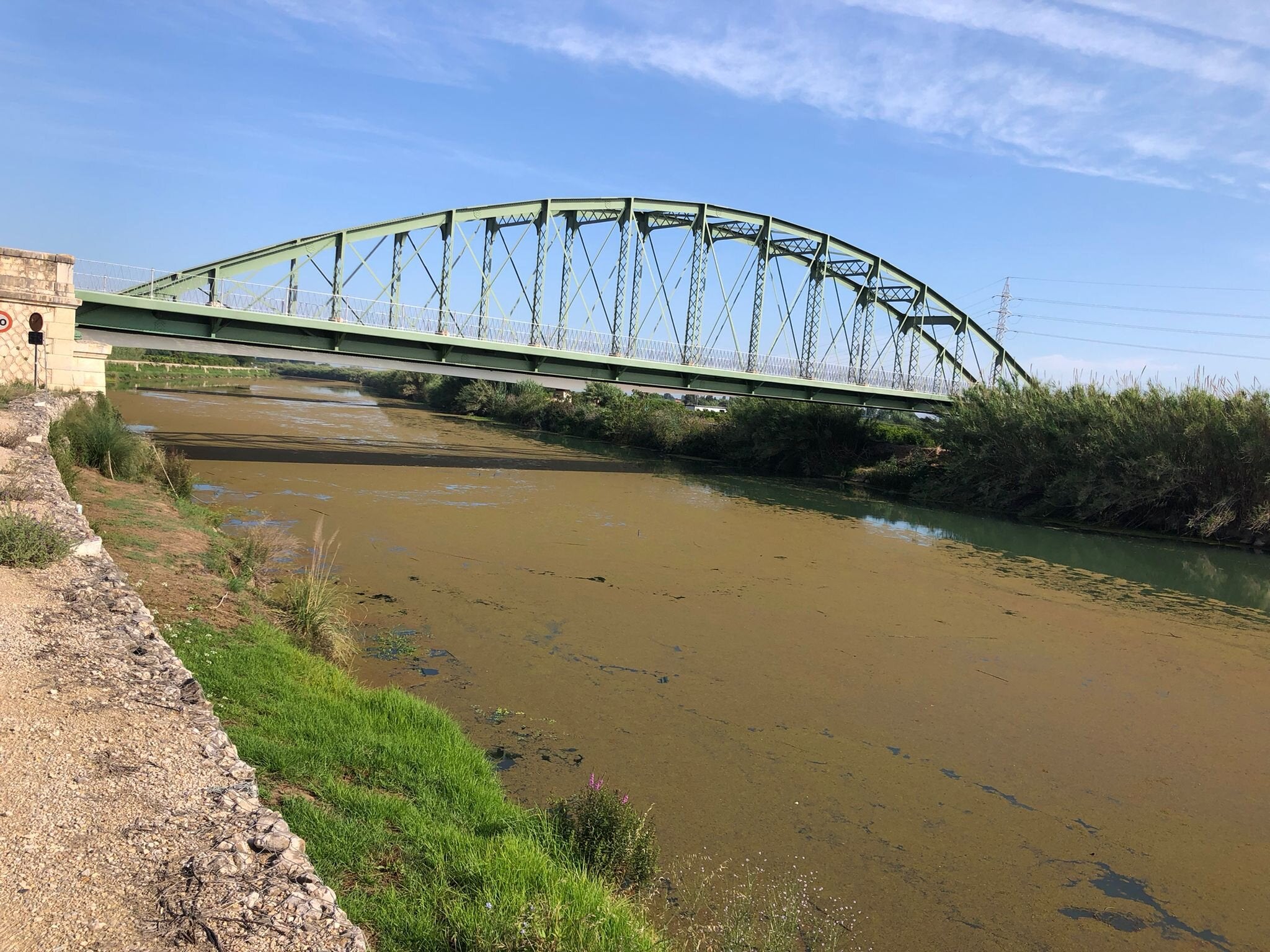 El río Júcar presenta un preocupante estado en su tramo final desde Fortaleny El río Júcar presenta un preocupante estado en su tramo final desde Fortaleny