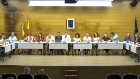 Pleno organizaci&oacute;n Altea