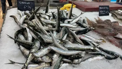 imagen de uno de los puestos de pescado del mercado de la plaza de Lugo en A Coruña. Foto: Pilar Ozores. sardinas
