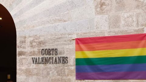 Bandera en la fachada de Les Corts