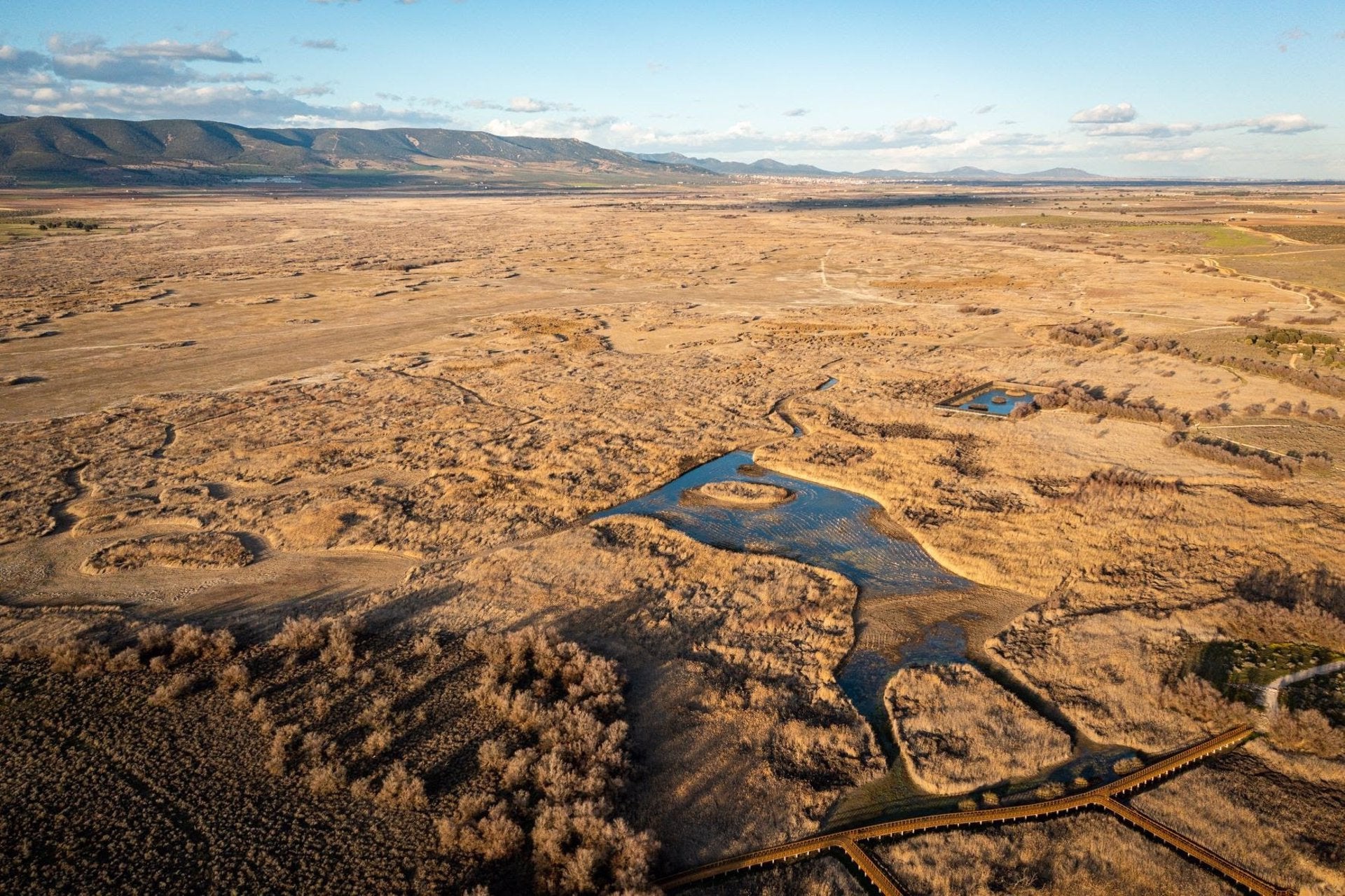 Las Tablas de Daimiel conmemora el miércoles el 50 aniversario como parque nacional en una situación crítica Las Tablas de Daimiel conmemora el miércoles el 50 aniversario como parque nacional en una situación crítica