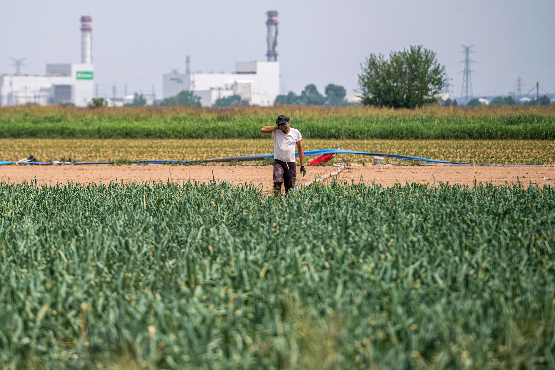 Cuándo se va la ola de calor: las altas temperaturas dejan este jueves a 19 provincias con avisos Cuándo se va la ola de calor: las altas temperaturas dejan este jueves a 19 provincias con avisos