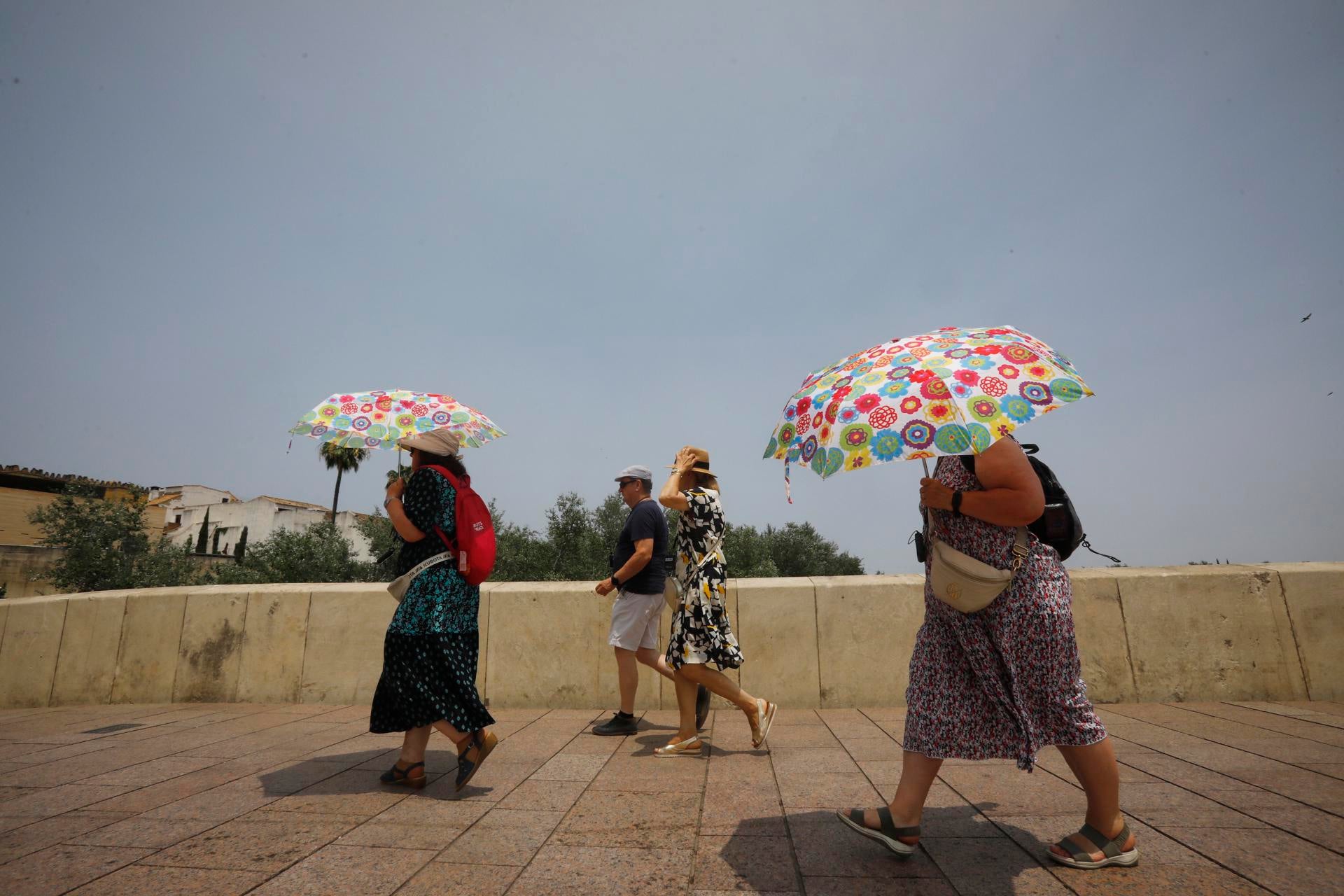La ola de calor da un respiro este viernes: las provincias que siguen en alerta por altas temperaturas La ola de calor da un respiro este viernes: las provincias que siguen en alerta por altas temperaturas