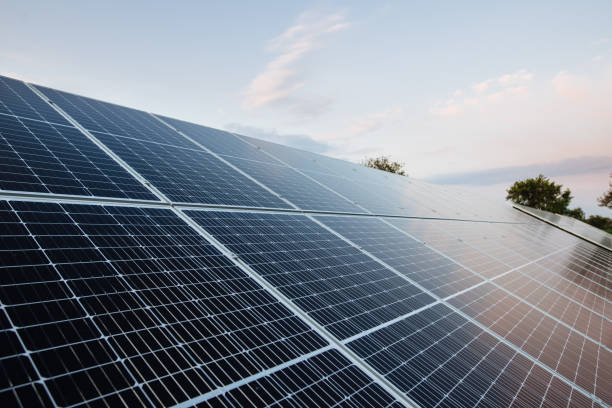 La Generalitat rechaza prorrogar la suspensión de licencias para plantas solares que ha pedido Elche La Generalitat rechaza prorrogar la suspensión de licencias para plantas solares que ha pedido Elche