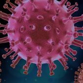 Un virólogo del CSIC revela el virus al que más temen los expertos como causante de una futura pandemia
