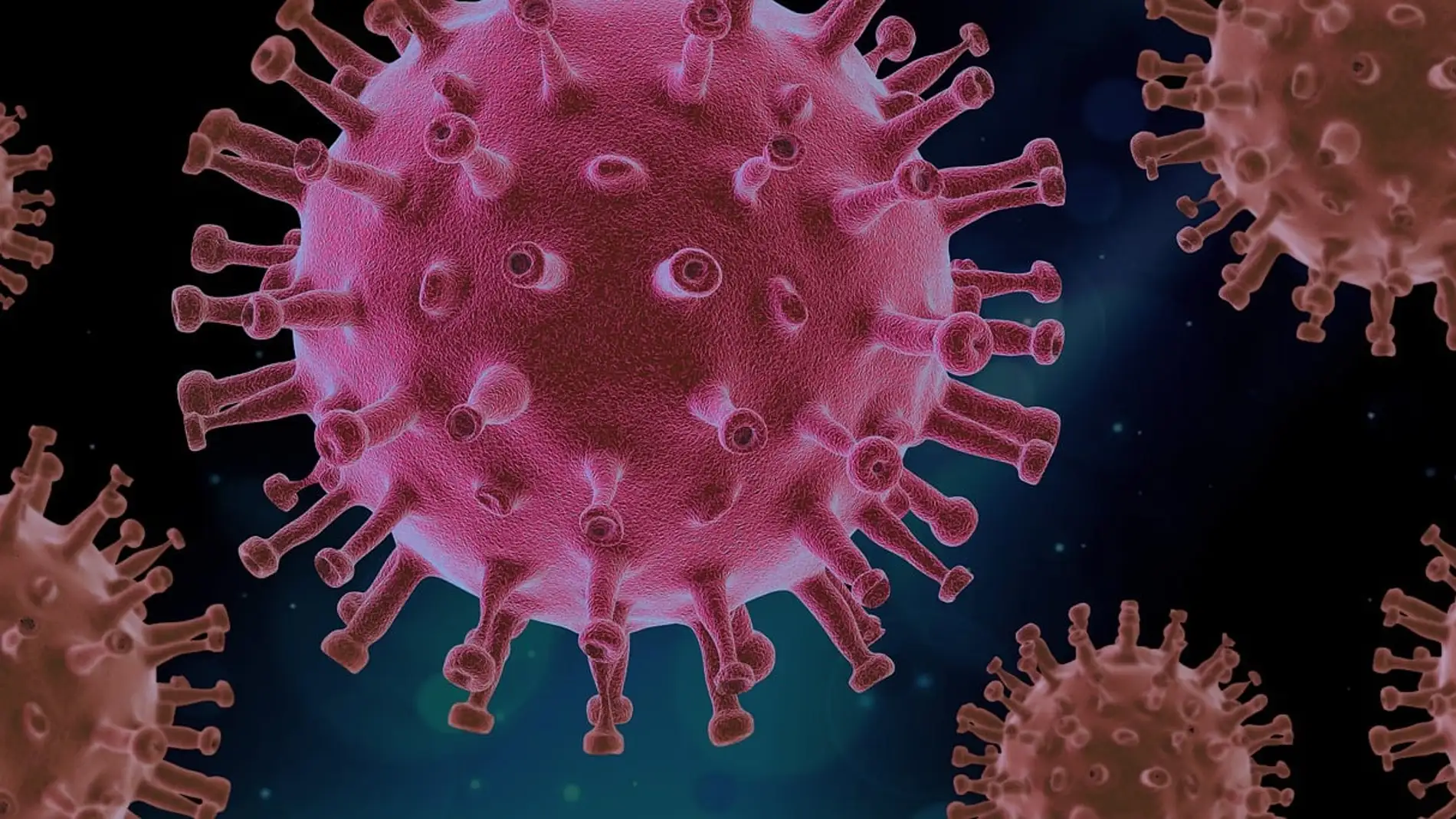 Un virólogo del CSIC revela el virus al que más temen los expertos como causante de una futura pandemia