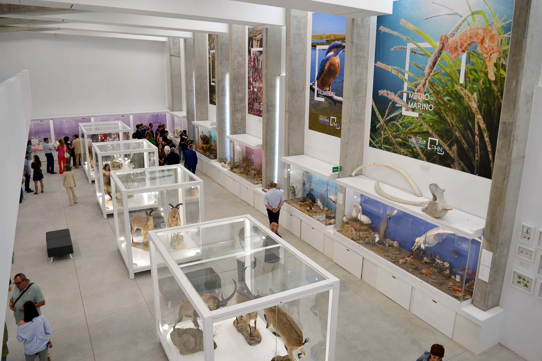 Abre sus puertas el Pabellón de Historia Natural de la UAL Abre sus puertas el Pabellón de Historia Natural de la UAL