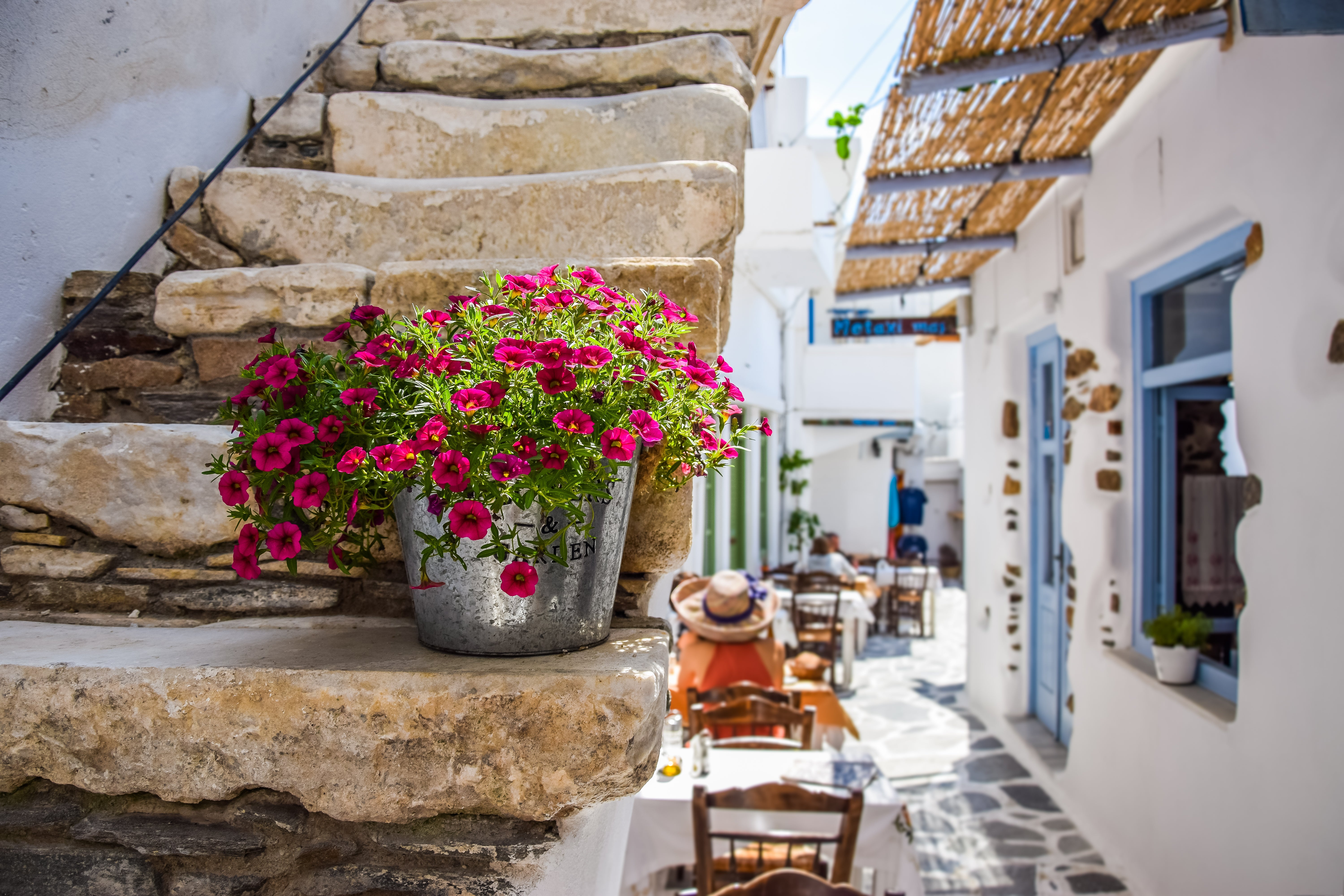 Patro Marco nos descubre la gastronomía y los secretos de Grecia Patro Marco nos descubre la gastronomía y los secretos de Grecia