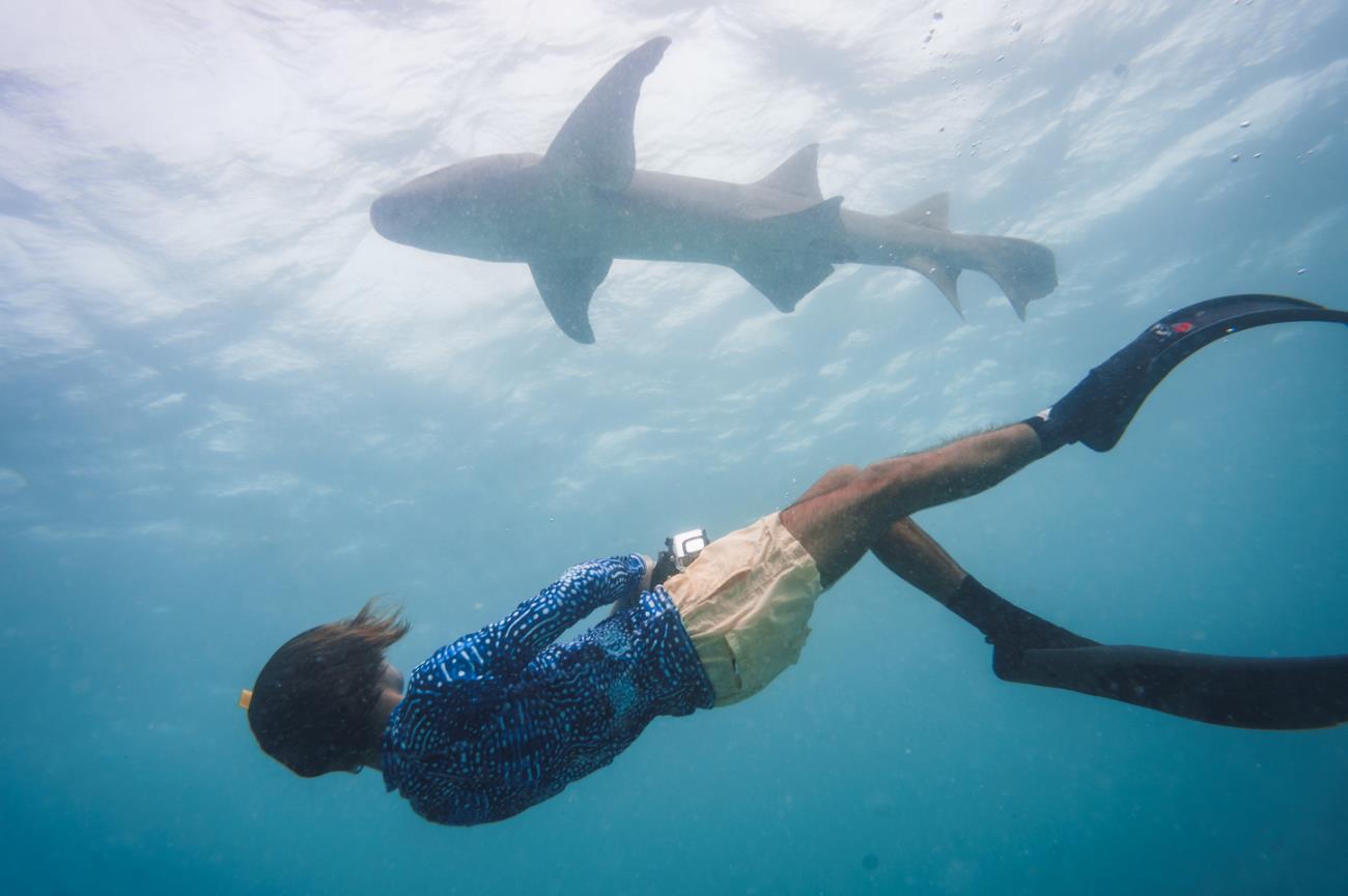 Charlie Sarria, el biólogo marino malagueño que desafía los prejuicios nadando con tiburones Charlie Sarria, el biólogo marino malagueño que desafía los prejuicios nadando con tiburones