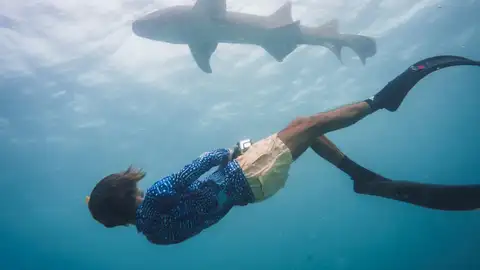 Charlie Sarria nadando con tiburones Charlie Sarria nadando con tiburones