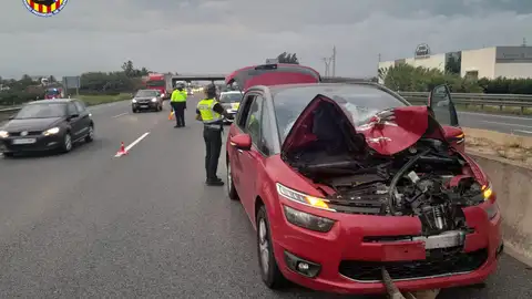 Unas cabras montesas provocan un accidente en Alberic Unas cabras montesas provocan un accidente en Alberic