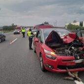 Unas cabras montesas provocan un accidente en Alberic