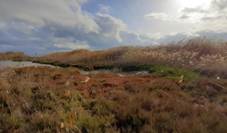 El Cinturón Verde del Mar Menor avanza a gran velocidad y se ajusta en función de las investigaciones sobre el terreno El Cinturón Verde del Mar Menor avanza a gran velocidad y se ajusta en función de las investigaciones sobre el terreno