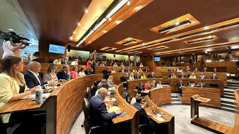 Los grupos parlamentarios mantienen el presupuesto del año pasado en la Junta General Parlamento asturiano