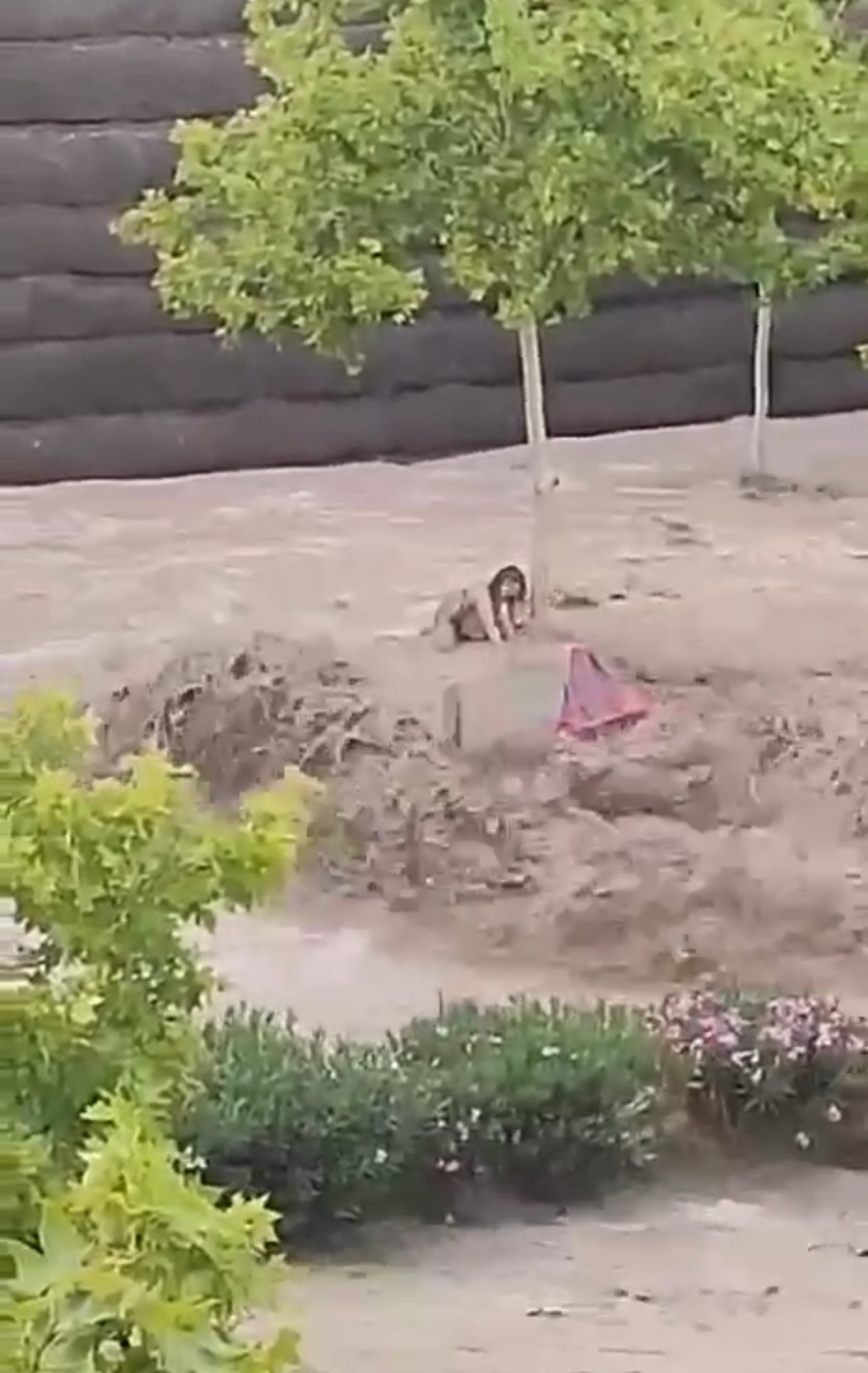 Los vecinos de Parque Venecia piden medidas para evitar más problemas por las tormentas Los vecinos de Parque Venecia piden medidas para evitar más problemas por las tormentas