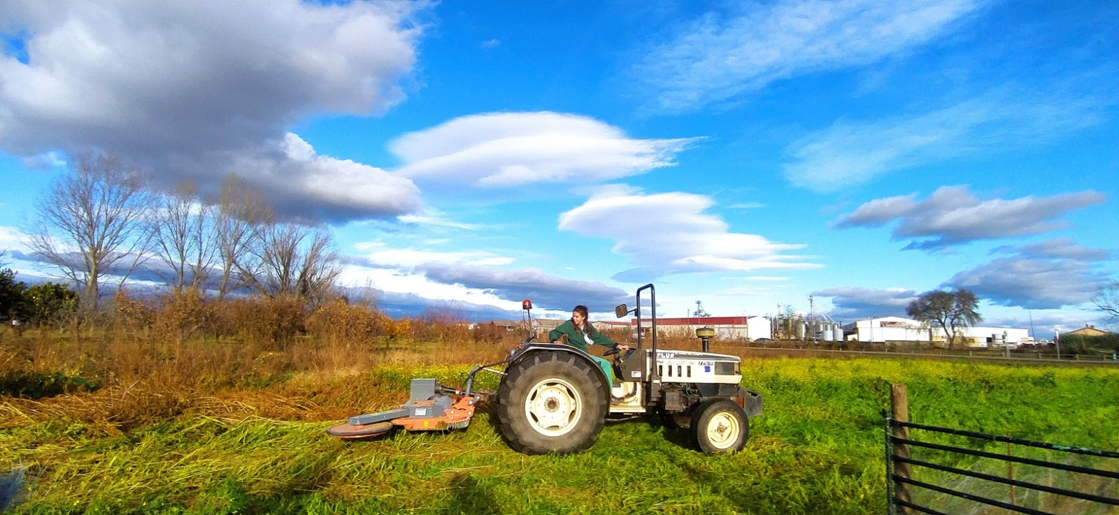 Extremadura ha recibido 45.402 solicitudes únicas de la Política Agraria Extremadura ha recibido 45.402 solicitudes únicas de la Política Agraria