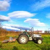 Extremadura ha recibido 45.402 solicitudes únicas de la Política Agraria 