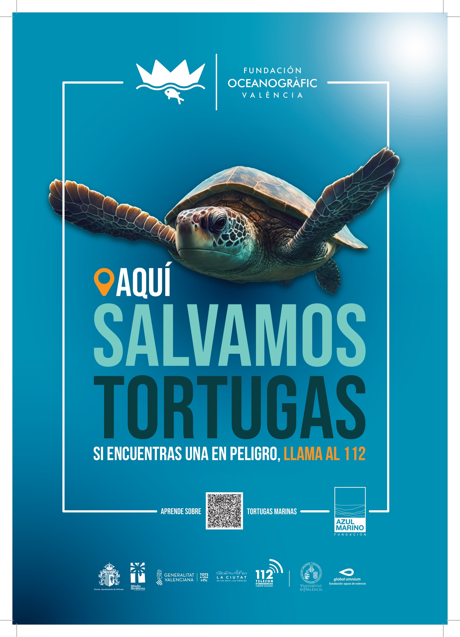 Orihuela se suma a la campaña de sensibilización “Tortugas en el Mediterráneo” Orihuela se suma a la campaña de sensibilización “Tortugas en el Mediterráneo”
