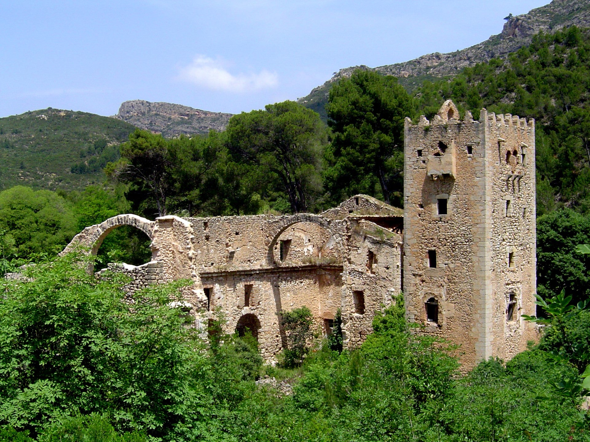 Amics de la Murta llevará este paraje y su patrimonio a los colegios de Alzira Amics de la Murta llevará este paraje y su patrimonio a los colegios de Alzira