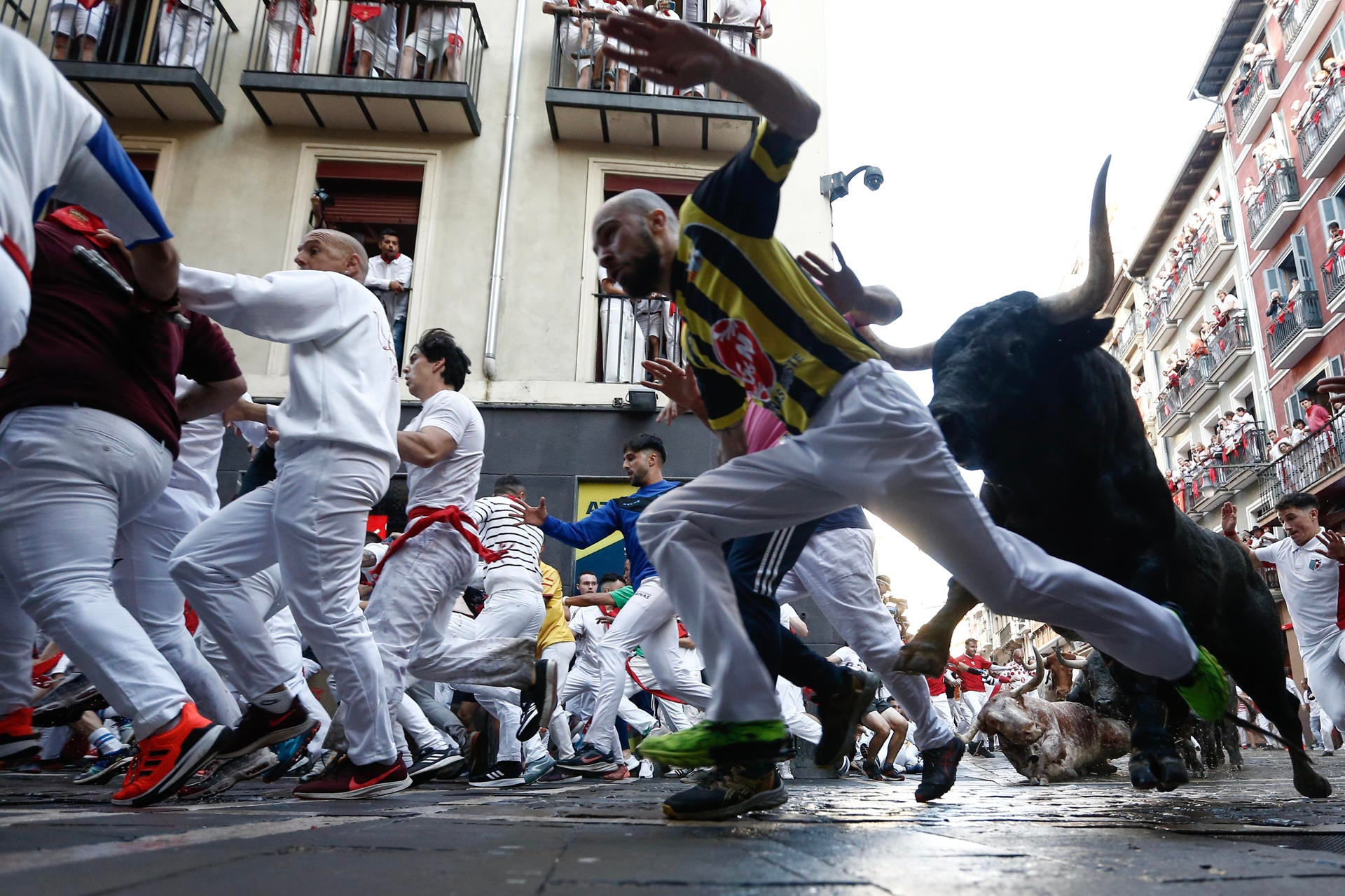 Los toros de Escolar aportan emoción al segundo encierro en Sanfermines Los toros de Escolar aportan emoción al segundo encierro en Sanfermines
