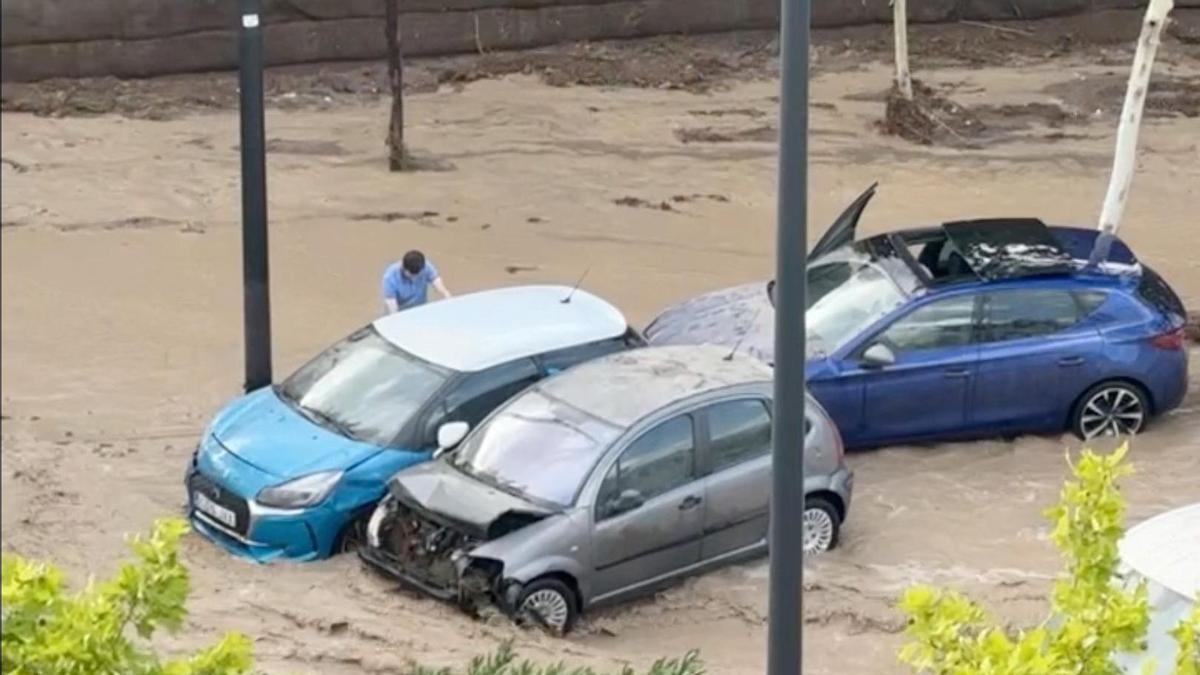 Zaragoza y Cuarte solicitan la declaración de zona catastrófica Zaragoza y Cuarte solicitan la declaración de zona catastrófica