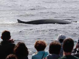 Con Isabel Molina, Más de Uno Bizkaia 11/07/2023 Con Isabel Molina, Más de Uno Bizkaia 11/07/2023