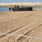 Encuentran el cadáver de un bebé en una playa de Tarragona