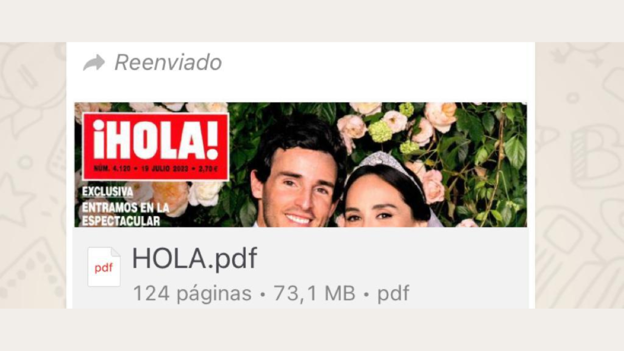 El delito que cometes si te descargas o reenvías el 'Hola!' de la boda de Tamara Falcó El delito que cometes si te descargas o reenvías el 'Hola!' de la boda de Tamara Falcó