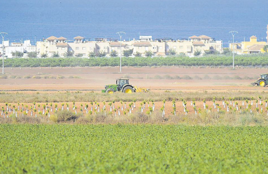 La CHS abre 12 expedientes sancionadores en el entorno del Mar Menor La CHS abre 12 expedientes sancionadores en el entorno del Mar Menor