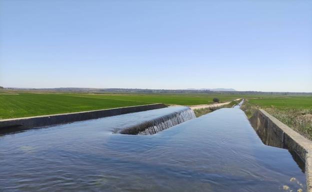 La Guardia Civil vigilará canales y acequias de Las Vegas del Guadiana para evitar su uso como zona de baño La Guardia Civil vigilará canales y acequias de Las Vegas del Guadiana para evitar su uso como zona de baño