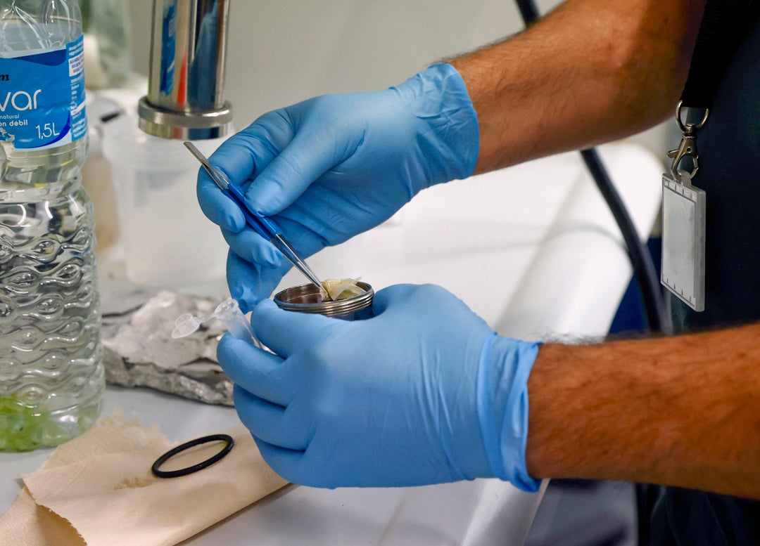 La OMS declara el edulcorante aspartamo como posible cancerígeno: ¿Qué es y en qué productos está? La OMS declara el edulcorante aspartamo como posible cancerígeno: ¿Qué es y en qué productos está?