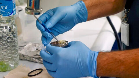 La OMS declara el edulcorante aspartamo como posible cancer&iacute;geno: qu&eacute; es y en qu&eacute; productos est&aacute;