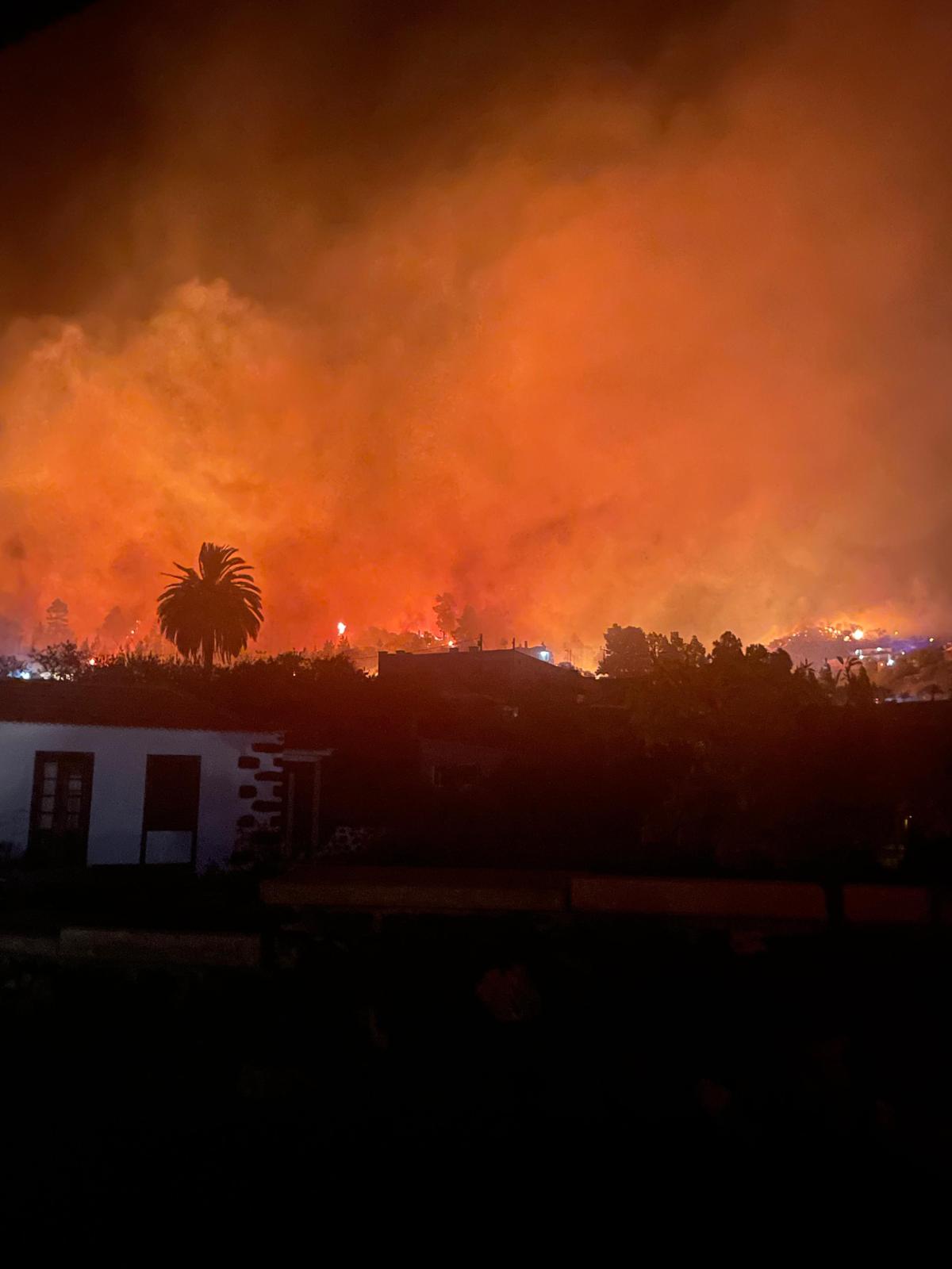 El Gobierno de Canarias declara el nivel 2 en el incendio forestal de La Palma y asume la dirección El Gobierno de Canarias declara el nivel 2 en el incendio forestal de La Palma y asume la dirección