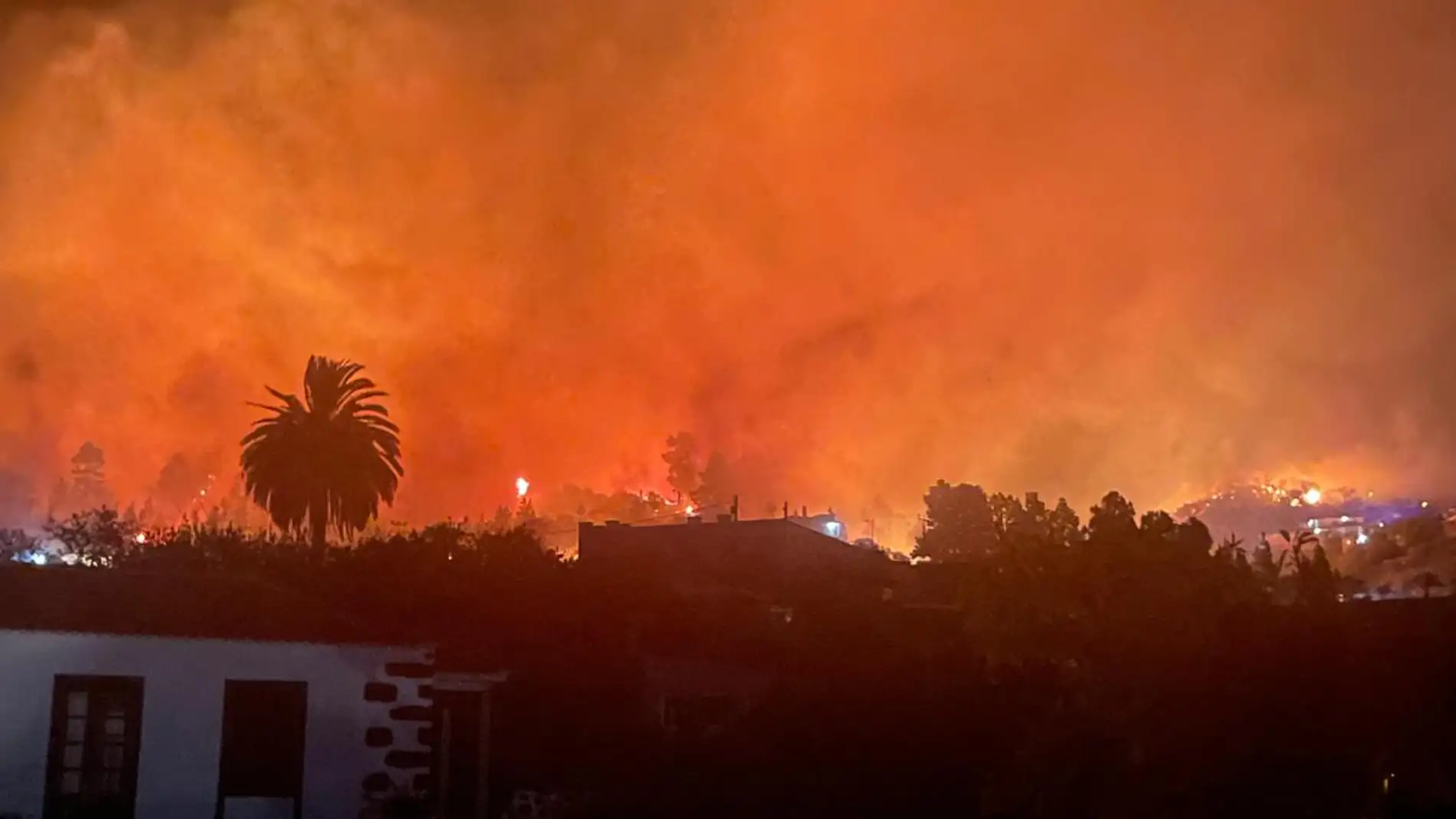Incendio forestal declarado en Puntagorda, La Palma, en la madrugada del sábado 23 de julio de 2023