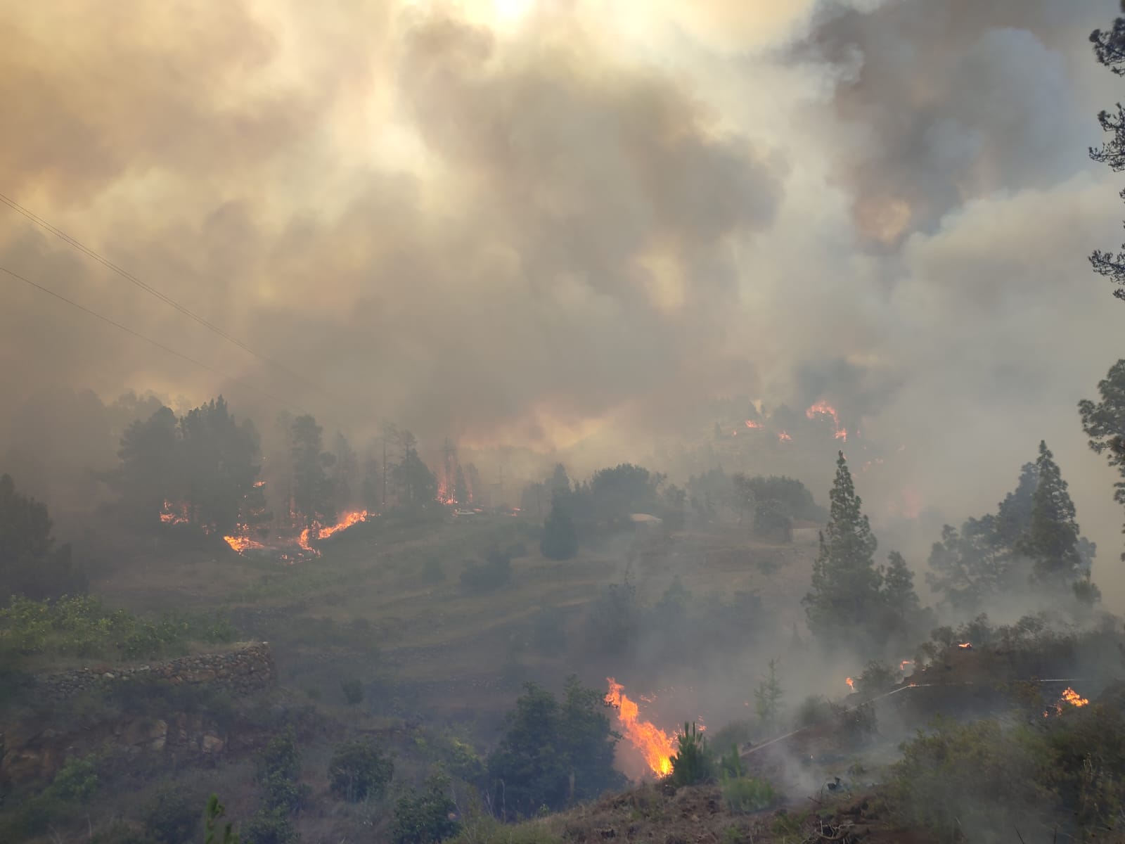 Pueblos Solidarios: II Jornadas de Prevención de Incendios Pueblos Solidarios: II Jornadas de Prevención de Incendios