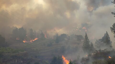 Incendio forestal 