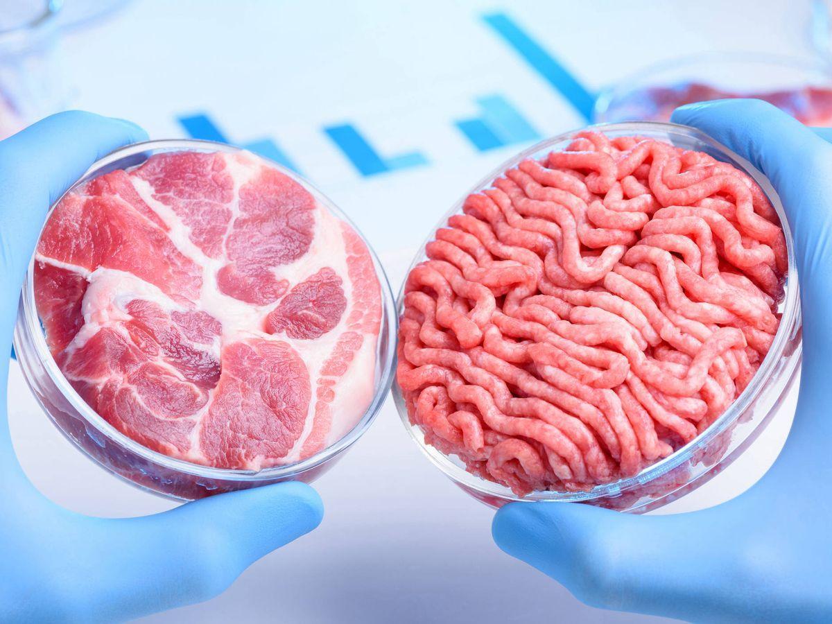 Carne cultivada en laboratorio. ¿Será el remedio al hambre en el mundo? Carne cultivada en laboratorio. ¿Será el remedio al hambre en el mundo?