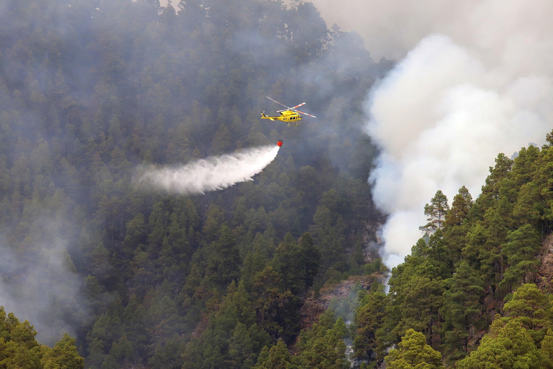 Evolución favorable del incendio de La Palma. Los efectivos se concentran hoy en La Caldera Evolución favorable del incendio de La Palma. Los efectivos se concentran hoy en La Caldera